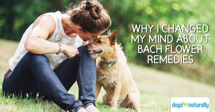 bach flower remedies