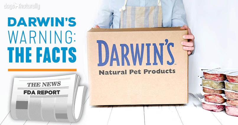darwins natural pet food