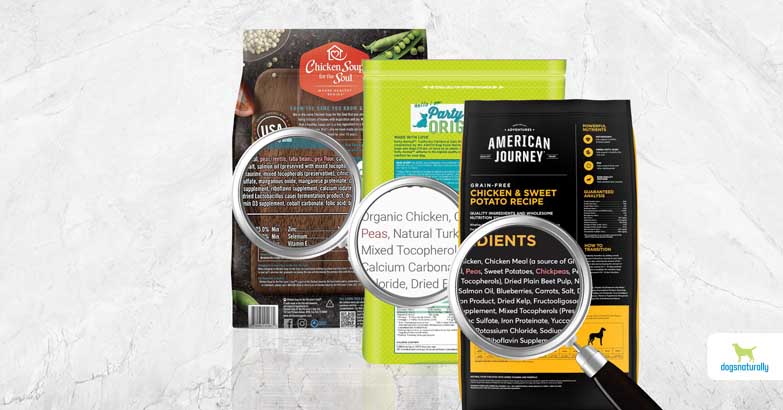 Lectins in dog food