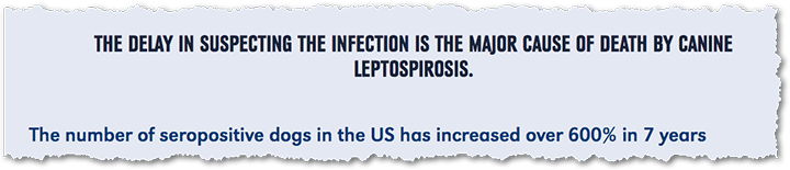 lepto vaccine-2DNM