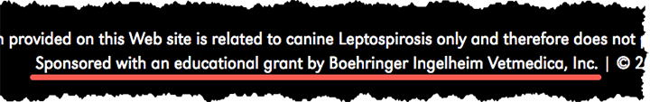 lepto vaccine-6DNM
