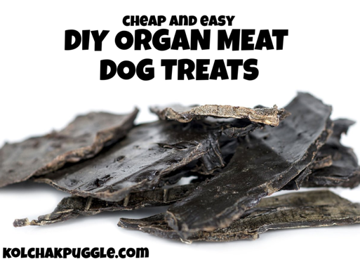 raw dog treat recipes - DIY Organ Meat Dog Treats