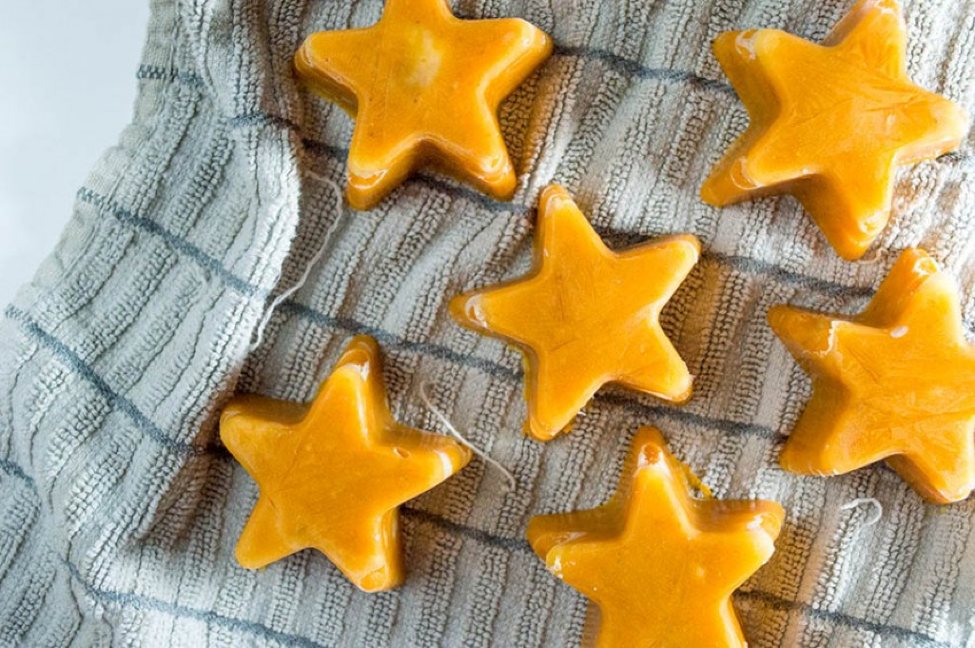 raw dog treat recipe - Pumpkin Banana Frozen Pup Pops
