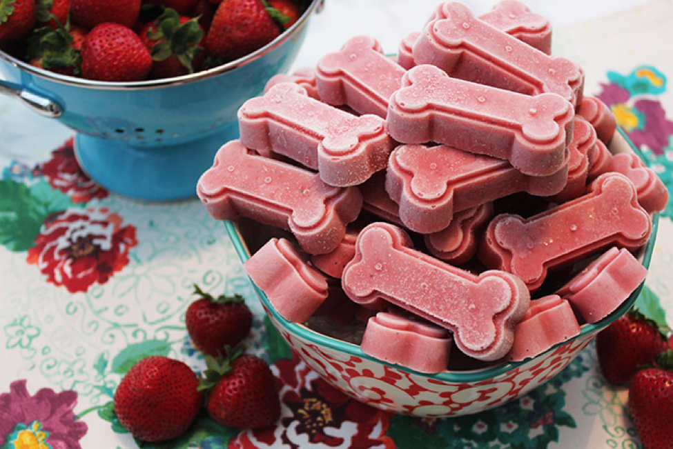 raw dog treat recipe - Frozen strawberry and banana smoothie